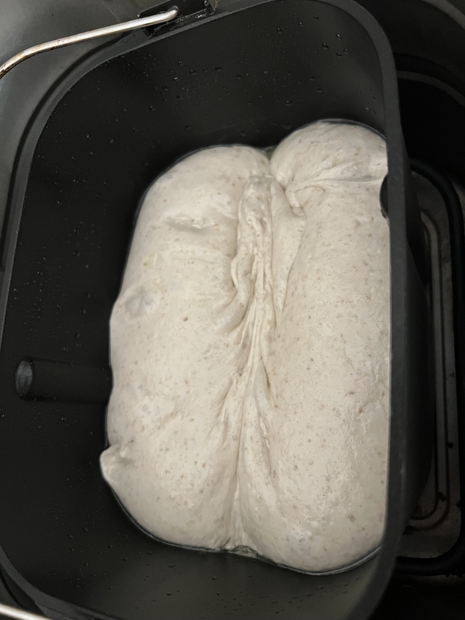 - overproved and collapsed dome pre-bake
